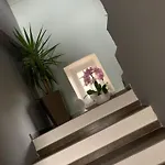 Oasi Di Pace