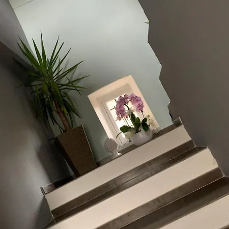 Oasi Di Pace
