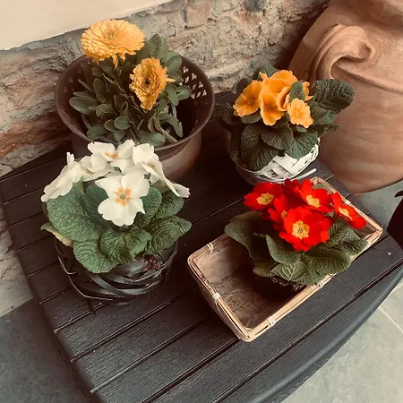 Oasi Di Pace Apartman
